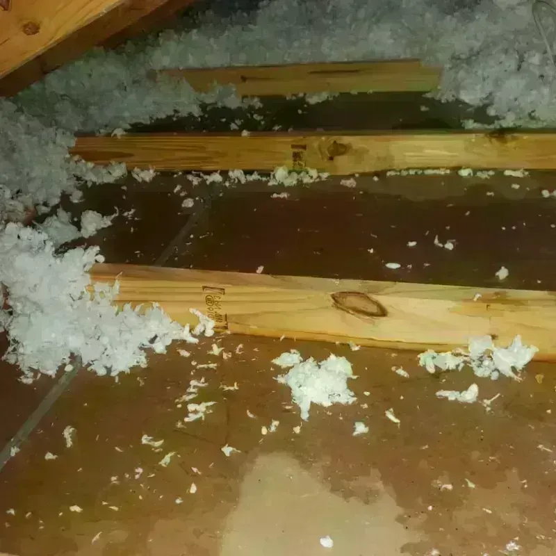 Attic Water Damage in Olmsted Falls, OH