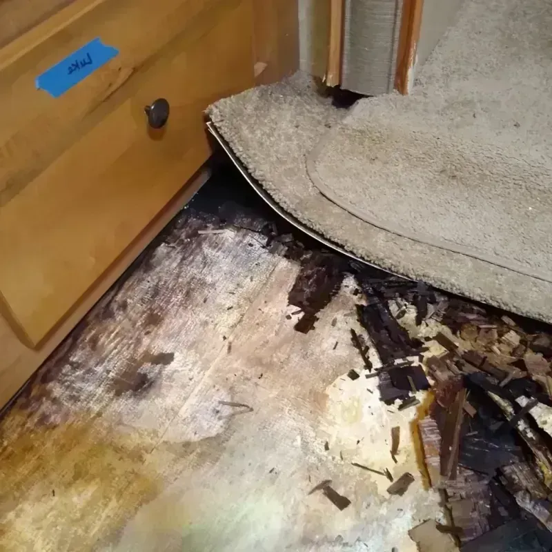 Wood Floor Water Damage in Olmsted Falls, OH